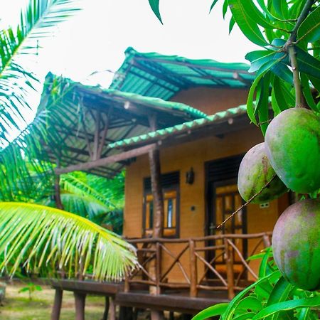 Yalaway Nature Villa Тіссамахарама Екстер'єр фото
