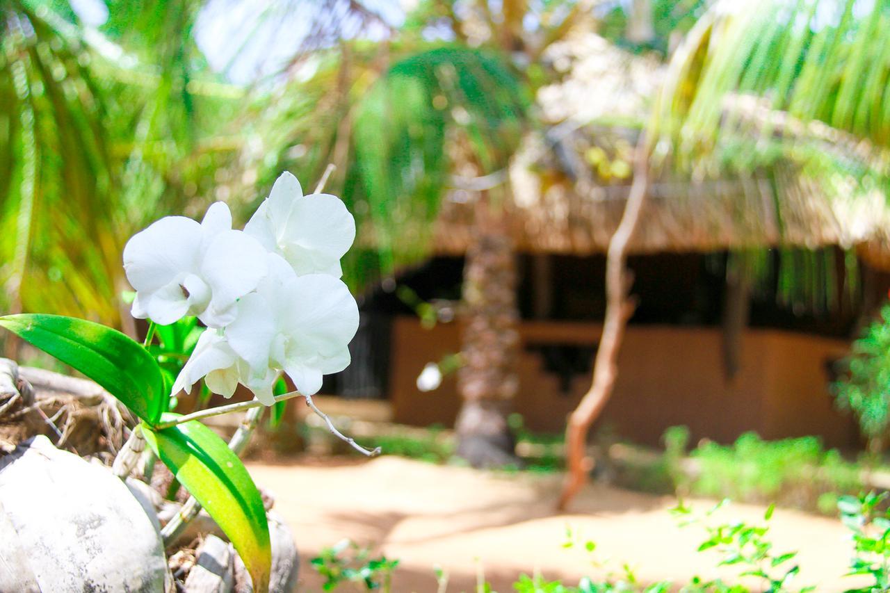 Yalaway Nature Villa Тіссамахарама Екстер'єр фото